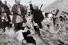 عکسی عجیب از شکار یک پلنگ غول‌پیکر ایرانی توسط درباریان قاجار