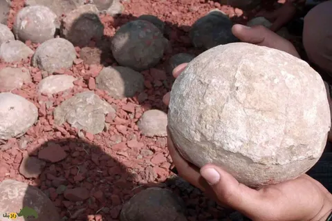 خدای اسرارآمیز هندی‌ها، تخم‌ دایناسور از آب درآمد!