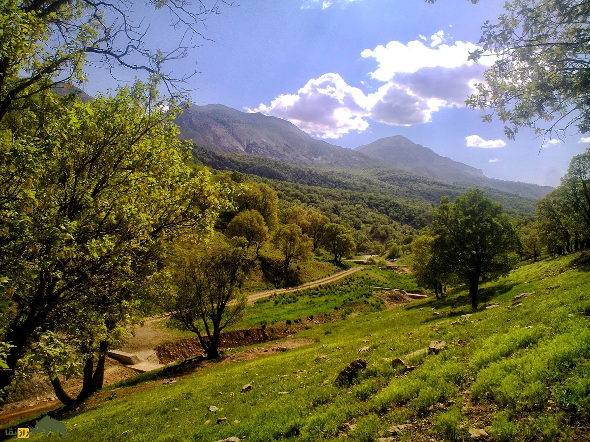 طبیعت زاگرس طبیعت زاگرس