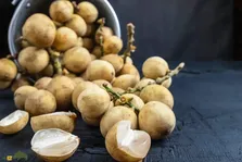زَرگیل؛ میوه گرمسیر با درختی ۳۰ متری که پوستش شبیه سیب‌زمینی، گوشتش شبیه پیاز و مزه‌اش شبیه انگور است