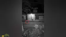 فیلمی باورنکردنی از اذیت کردن یک نگهبان توسط جن‌ها
