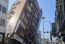 (ویدئو) رفتار عجیب گربه‌ها قبل از وقوع زمین لرزه تایوان