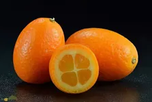 پورنج؛ کوچکترین میوه مرکبات جهان در مازندران و گیلان که هم‌وزن زیتون است و پوستی شیرین و گوشتی ترش دارد!