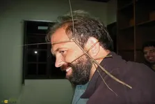 چوبک بزرگ چان؛ یک شاخه زنده‌ با طول ۵۰ سانتی‌متر که بزرگترین حشره روی زمین است و قدرت استتار حیرت‌انگیزی دارد