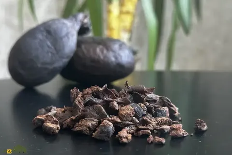 کاستوریوم یا جُند بیدَستَر؛ ماده‌ روغنی و خوشبو که از بیضه یا غدد مقعدی سگ آبی استخراج می‌شود و با آن عطر می‌سازند