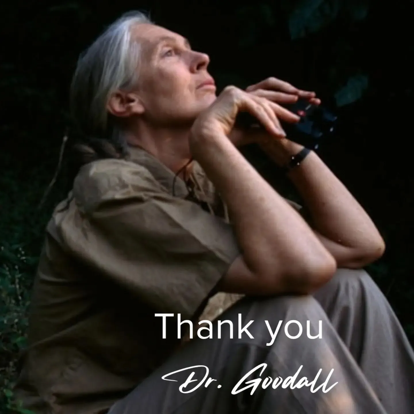 Jane Goodall Jane Goodall