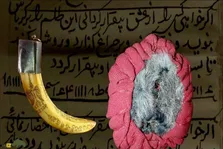 «آلت تناسلی کفتار ماده»؛ ناموس کفتار چیست و چرا هزاران کفتار به خاطر «وفاداری مرد به همسرش» کشته می‌شوند؟
