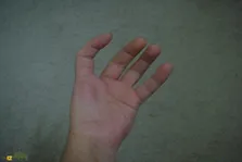 اگر انسان انگشت شصت دست چپ نداشت زندگی او چگونه می‌شد؟
