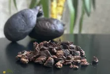 کاستوریوم یا جُند بیدَستَر؛ ماده‌ روغنی و خوشبو که از بیضه یا غدد مقعدی سگ آبی استخراج می‌شود و با آن عطر می‌سازند
