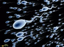 فیلمی دیدنی از لحظه فعال شدن تخمک توسط اسپرم؛ زندگی با یک جرقه نور آغاز می‌شود!