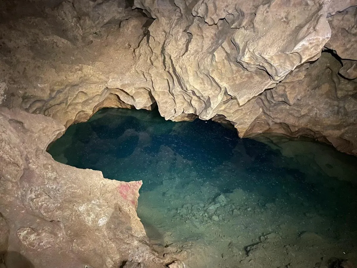 سخت پوست در کوه های زاگرس