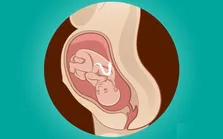 فیلمی باورنکردنی از نحوه تکامل انسان در رحم مادر