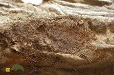 مهارت عجیب سرآشپز‌های ماقبل تاریخ