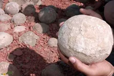 خدای اسرارآمیز هندی‌ها، تخم‌ دایناسور از آب درآمد!