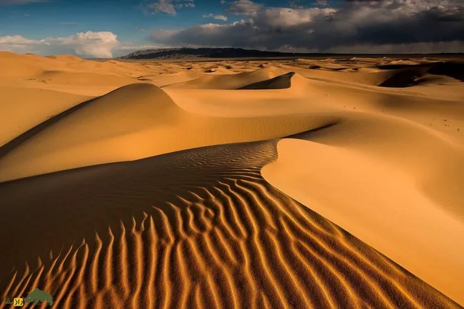 بیابان‌های آوازخوان؛ صدای مرموزی که در برخی از بیابان‌های بسیار خشک جهان شنیده می‌شود چیست؟
