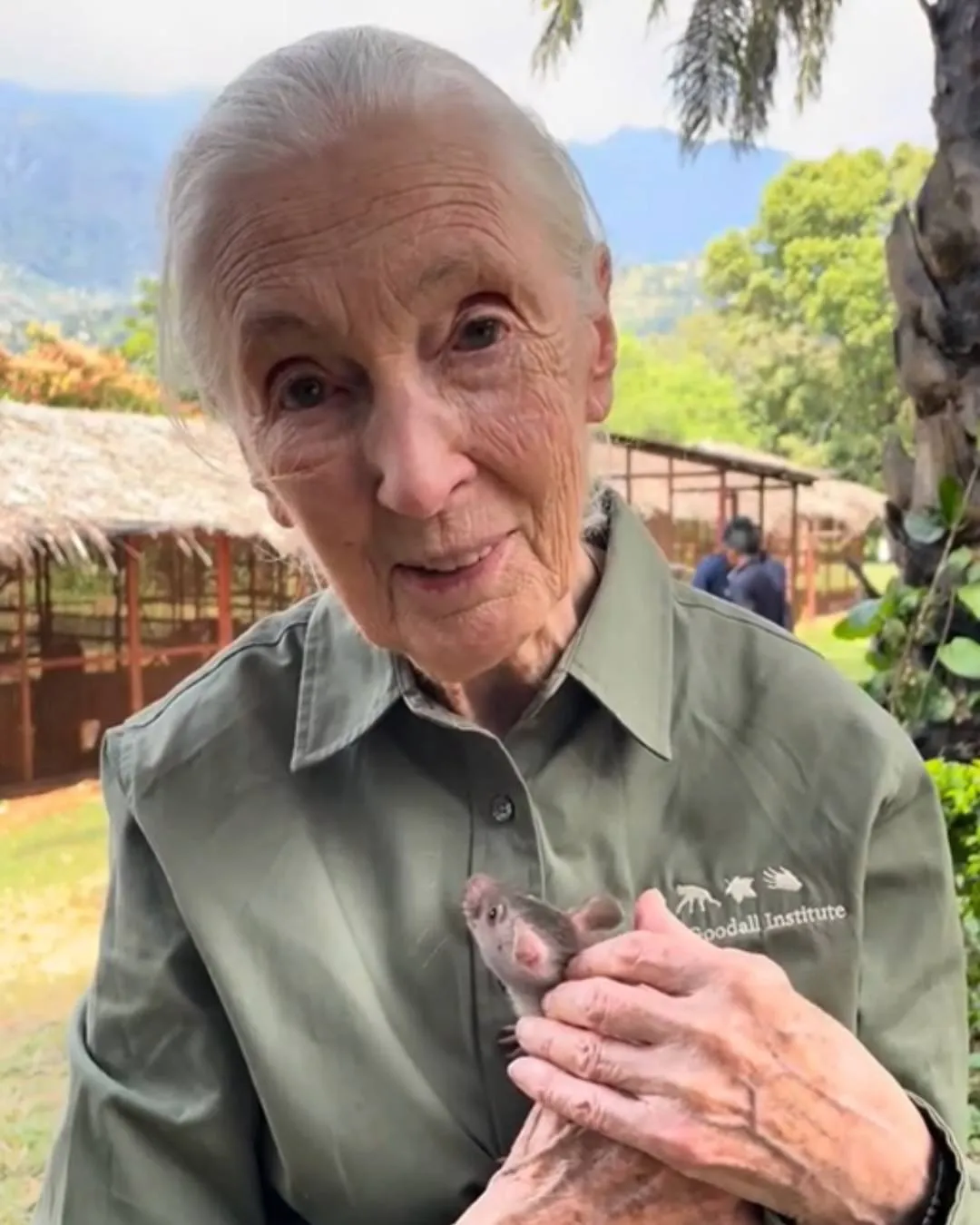 Jane Goodall Jane Goodall