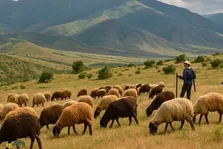زاگرس، زادگاه لبنیات جهان؛ ایرانیان از ۹ هزار سال پیش لبنیات مصرف می‌کردند