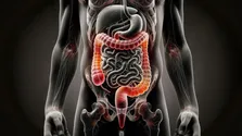 اگر آپاندیس نداشتیم چه می‌شد؟