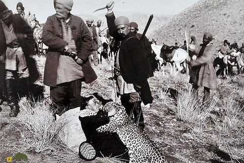 عکسی عجیب از شکار یک پلنگ غول‌پیکر ایرانی توسط درباریان قاجار